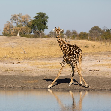 Kruger National Park | Top 3 Sudafrica
