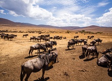 Tarangire National Park