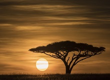 Serengeti National Park