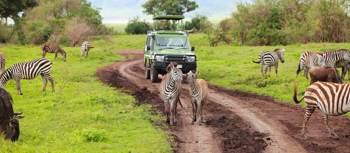 Tour Tanzania Express