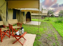 Serengeti Savannah Camp