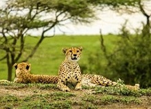 Serengeti National Park