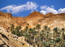 Oasi di montagna di Chebika