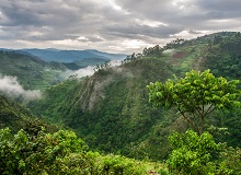 Bwindi Impenetrable Forest National Park