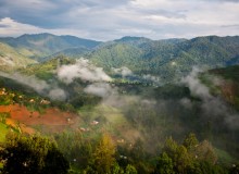 Bwindi Impenetrable Forest National Park
