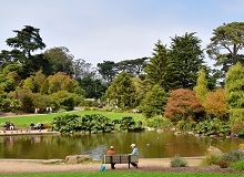 Golden Gate Park | Jeffrey Eisen on Unsplash