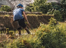 Pu Luong | Manh Le on Unsplash
