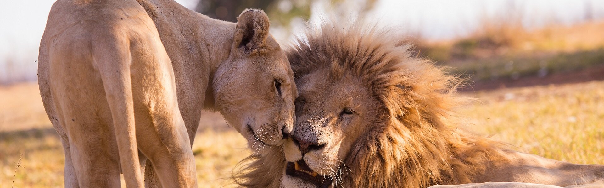 Viaggi di nozze | Viaggigiovani.it