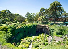 Umpherston Sinkhole