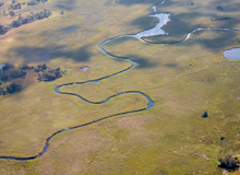 Delta Okavango