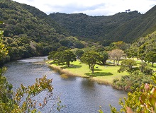 Lake Knysna