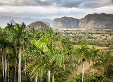 Piantagioni tabacco di Viñales