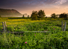 Parc National du Bic