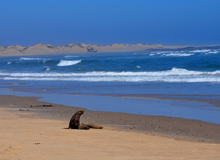 Skeleton Coast