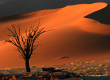 Sossusvlei