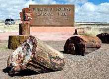 Petrified Forest NP