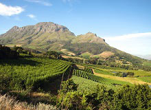 Stellenbosch