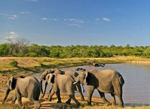 Pongola Nature Reserve