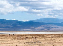 La vasta caldera di Ngorongoro