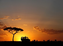 Ammirare il tramonto nel Serengeti