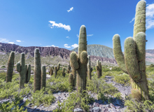 Quebrada de Humahuaca