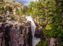 Bighorn National Forest